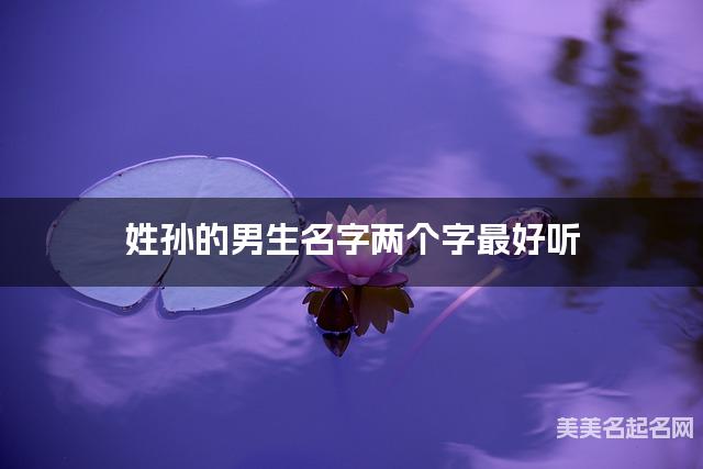 姓孙的男生名字两个字最好听