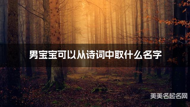 男宝宝可以从诗词中取什么名字