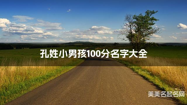 孔姓小男孩100分名字大全