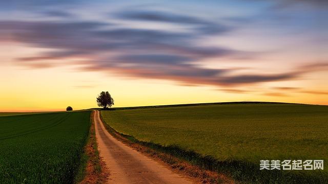 华姓有文采典故的小女孩名字100分