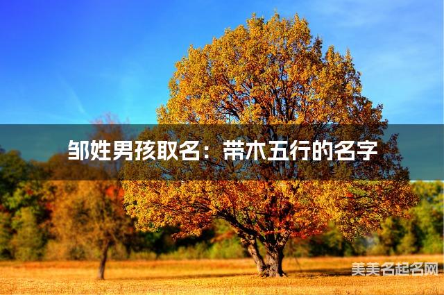 邹姓男孩取名：带木五行的名字（有诗意）