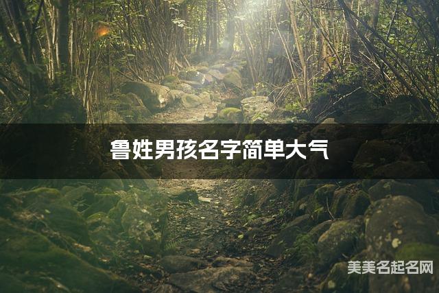 鲁姓男孩名字简单大气