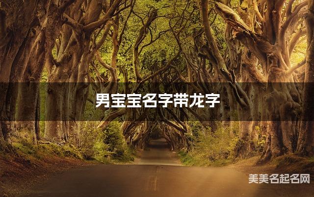 男宝宝名字带龙字 独特新颖的男孩名字