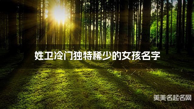 姓卫冷门独特稀少的女孩名字