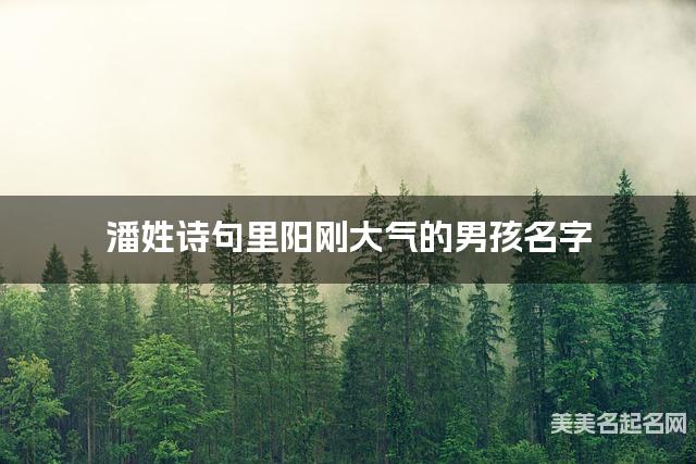 潘姓诗句里阳刚大气的男孩名字