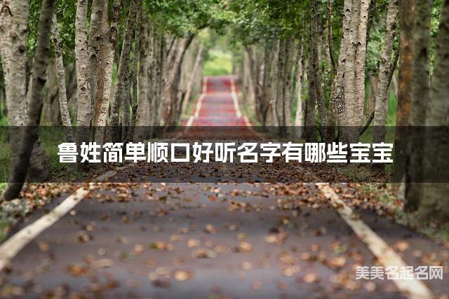 鲁姓简单顺口好听名字有哪些宝宝 鲁姓简单顺口好听名字有哪些宝宝