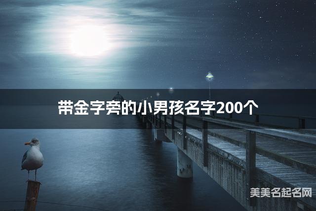 带金字旁的小男孩名字200个