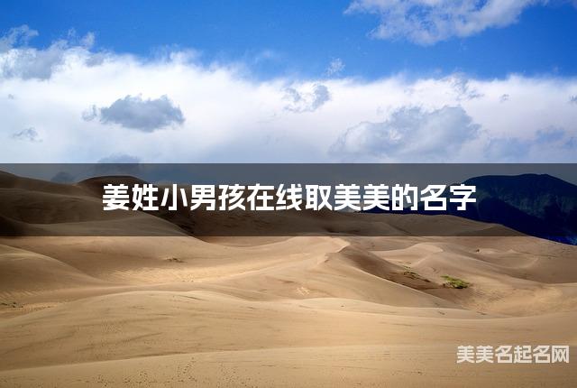 姜姓小男孩在线取美美的名字