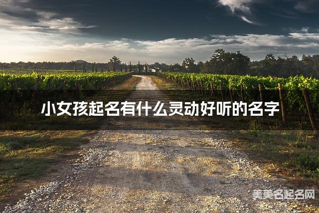 小女孩起名有什么灵动好听的名字