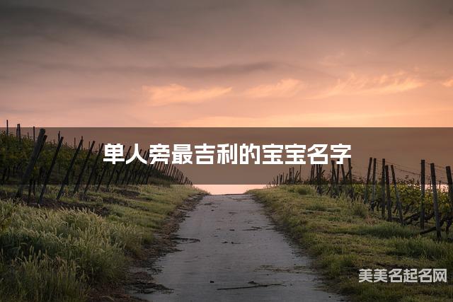 单人旁最吉利的宝宝名字 张姓单人旁取名最有福气