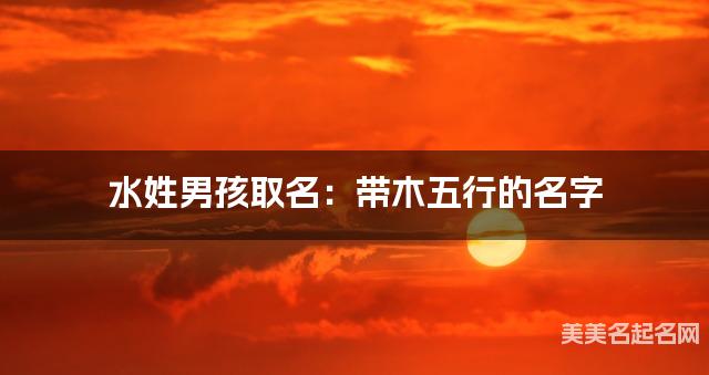 水姓男孩取名：带木五行的名字（有气质）