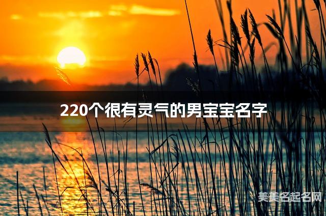 220个很有灵气的男宝宝名字