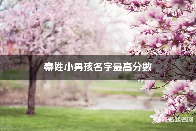 秦姓小男孩名字最高分数