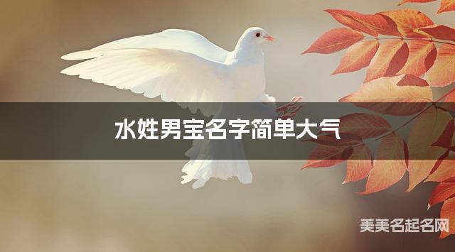 水姓男宝名字简单大气