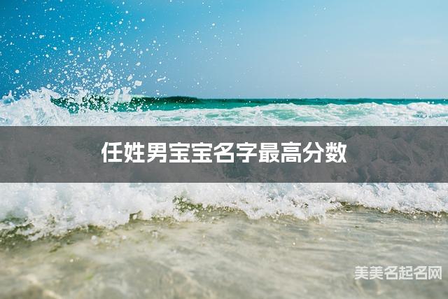 任姓男宝宝名字最高分数