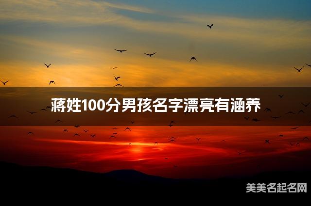 蒋姓100分男孩名字漂亮有涵养