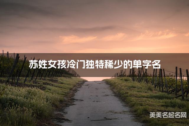 苏姓女孩冷门独特稀少的单字名  有含义的宝宝单字名大全