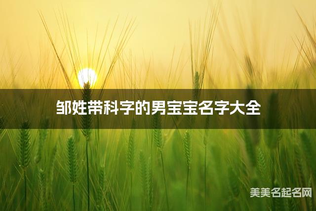 邹姓带科字的男宝宝名字大全