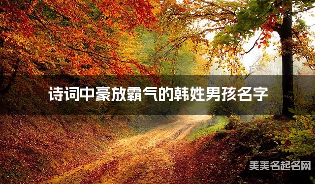 诗词中豪放霸气的韩姓男孩名字