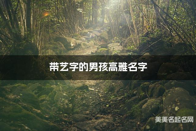 带艺字的男孩高雅名字