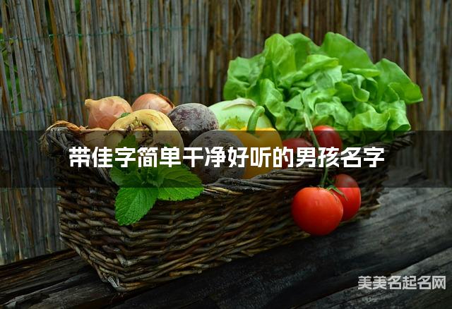 带佳字简单干净好听的男孩名字 大气有涵养
