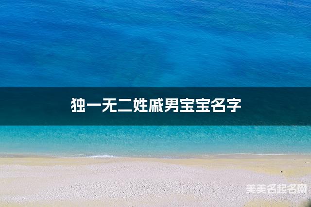 独一无二姓戚男宝宝名字