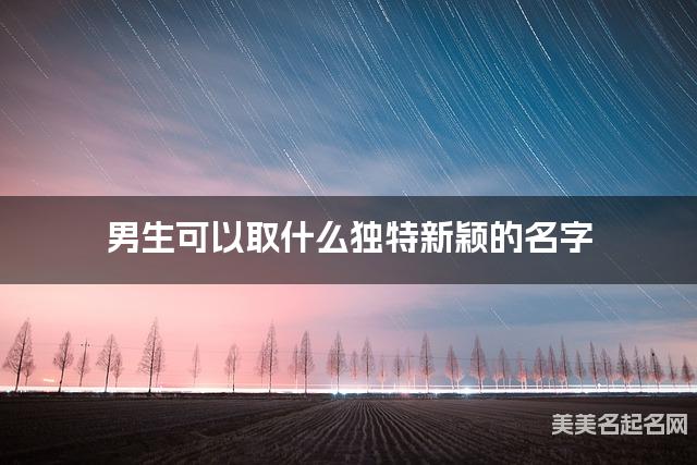 男生可以取什么独特新颖的名字