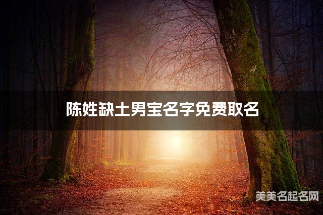 陈姓缺土男宝名字免费取名 有诗意的宝宝名字大全