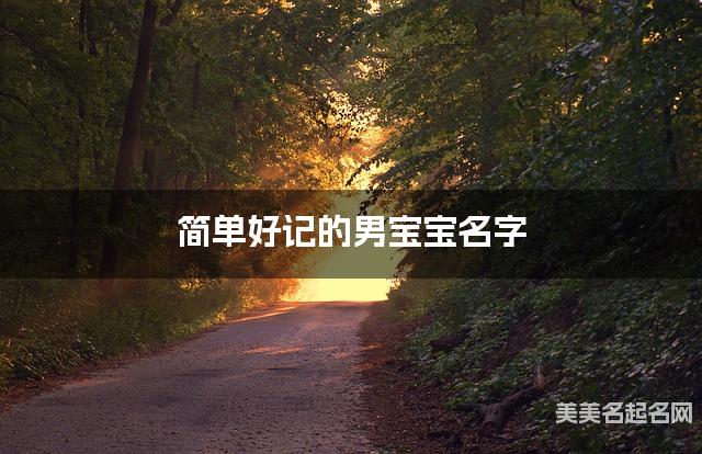 简单好记的男宝宝名字