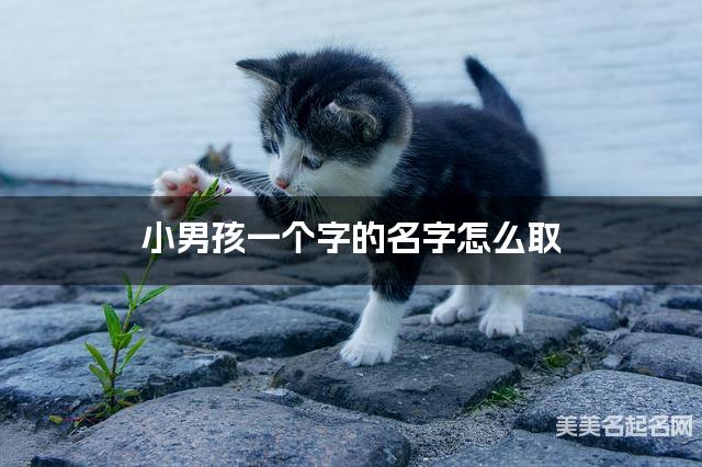 小男孩一个字的名字怎么取 有新意的宝宝单字名大全