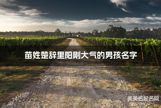 苗姓楚辞里阳刚大气的男孩名字