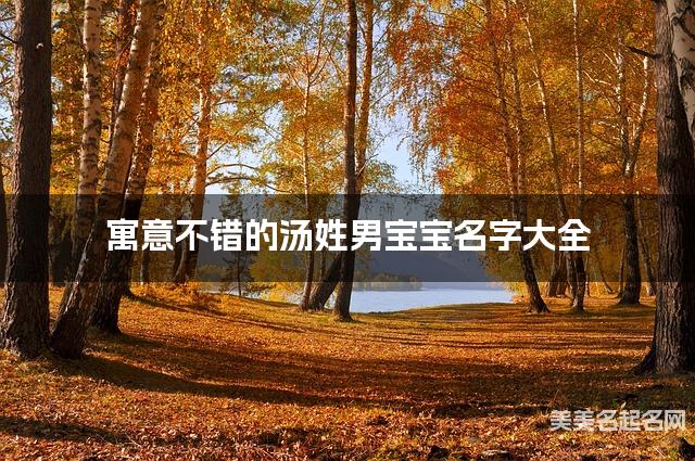 寓意不错的汤姓男宝宝名字大全