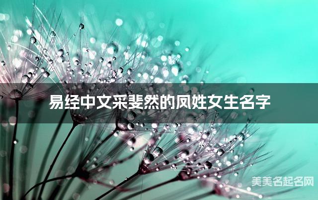 易经中文采斐然的凤姓女生名字