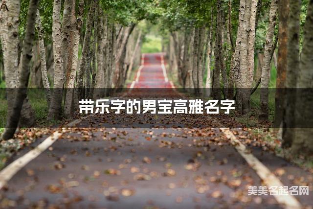 带乐字的男宝高雅名字
