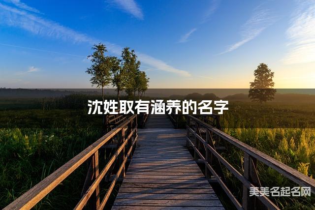 沈姓取有涵养的名字,沈姓女生高端名字 沈姓取有涵养的名字,沈姓女生高端名字