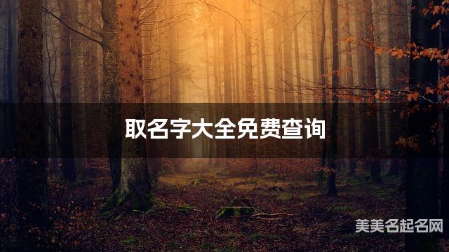 取名字大全免费查询 最有创意的魏姓女宝宝名字