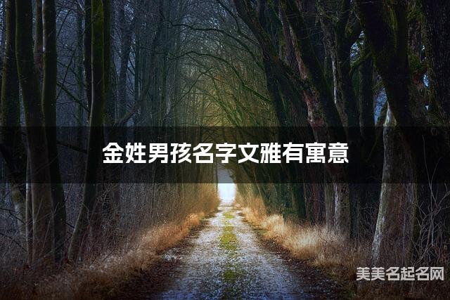 金姓男孩名字文雅有寓意