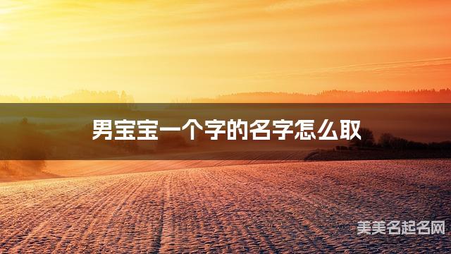 男宝宝一个字的名字怎么取 有寓意的宝宝单字名大全