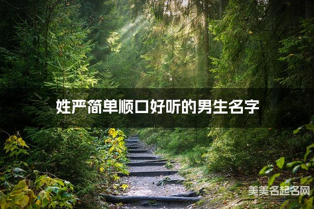 姓严简单顺口好听的男生名字