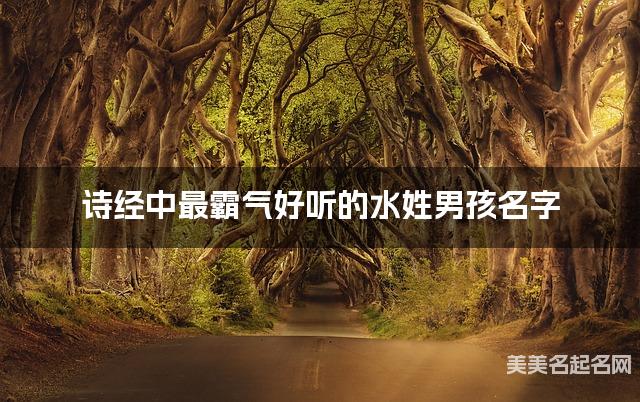 诗经中最霸气好听的水姓男孩名字 诗经中最霸气好听的水姓男孩名字