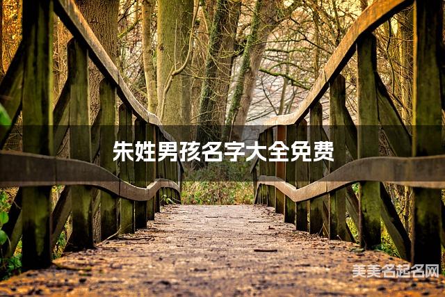 朱姓男孩名字大全免费 干净好听的名字