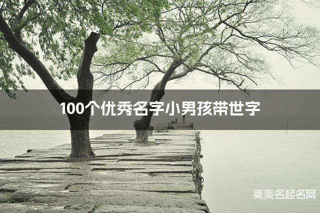 100个优秀名字小男孩带世字