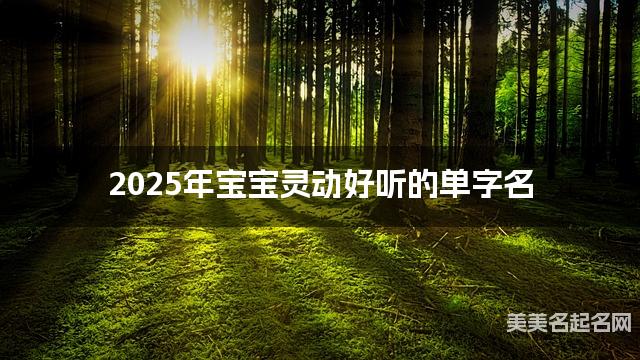 2025年宝宝灵动好听的单字名 有创意的宝宝单字名大全 2025年宝宝灵动好听的单字名 有创意的宝宝单字名大全