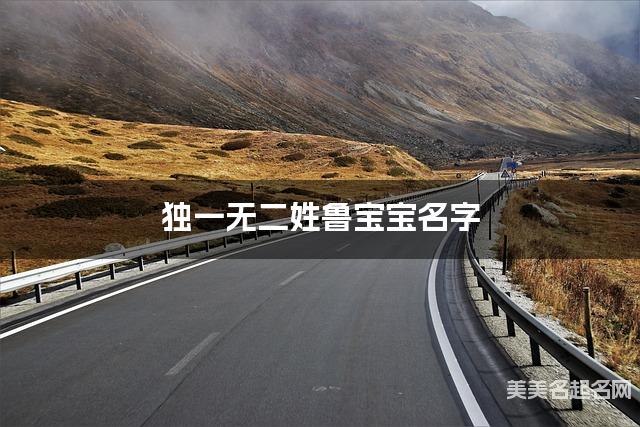 独一无二姓鲁宝宝名字 独一无二姓鲁宝宝名字
