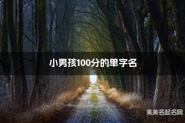 小男孩100分的单字名  有新意的宝宝单字名大全