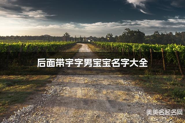 后面带宇字男宝宝名字大全