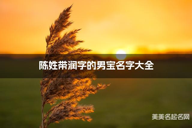 陈姓带润字的男宝名字大全