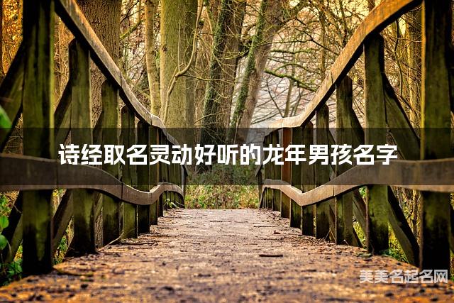 诗经取名灵动好听的龙年男孩名字