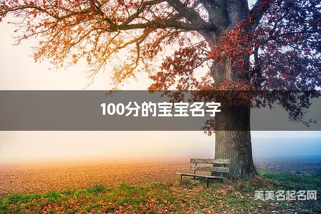 100分的宝宝名字（363个最新）