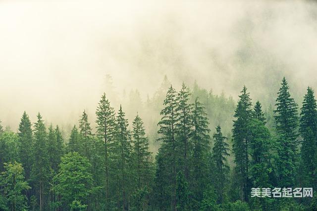 孔姓取名推荐:最好听简单大气的男宝宝名字 孔姓取名推荐:最好听简单大气的男宝宝名字